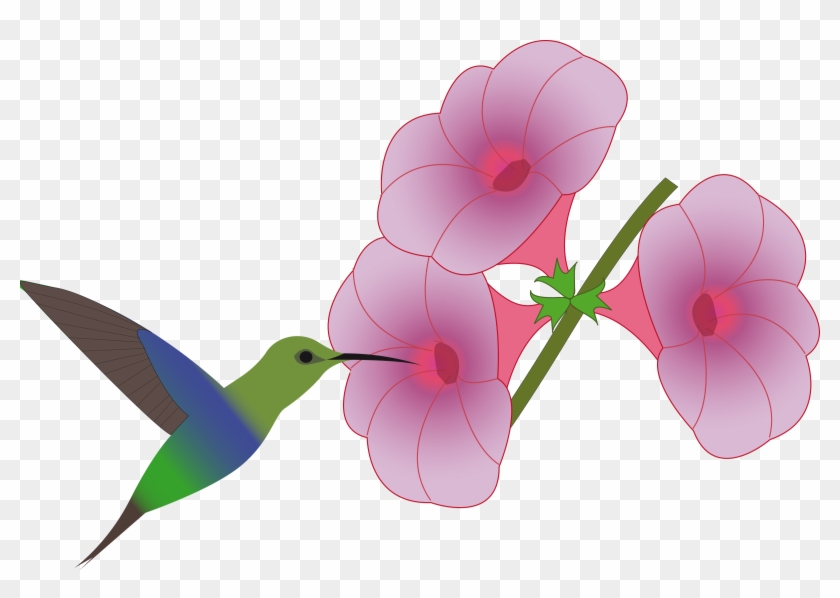 This Free Icons Png Design Of Pretty Hummingbird Clipart #746638