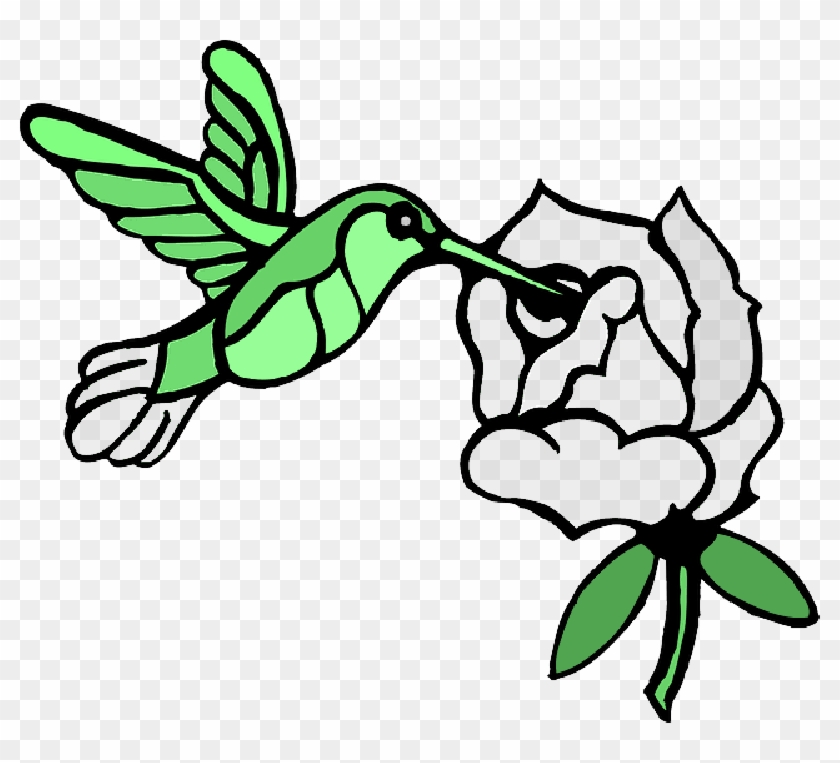 Draw A Hummingbird , Png Download - Draw A Hummingbird Clipart #746745