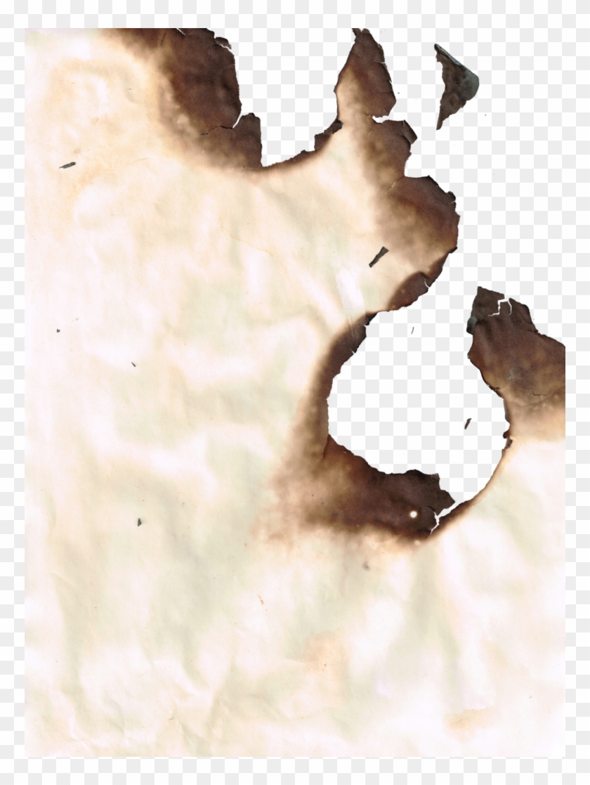 Burnt Png - Still Life Photography Clipart