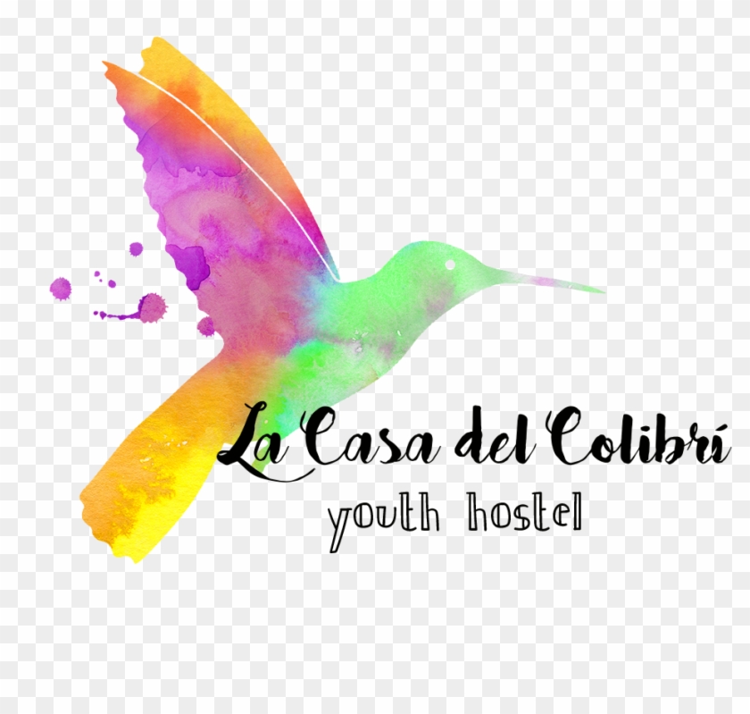 Ruby-throated Hummingbird , Png Download Clipart