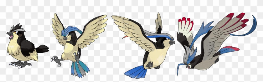 How I Would Make Shinies - Pokemon Pidgeot Clipart