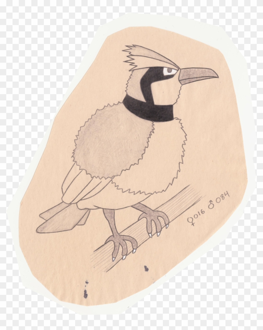 Tiny Bird Pokemon - Atlantic Puffin Clipart #748126