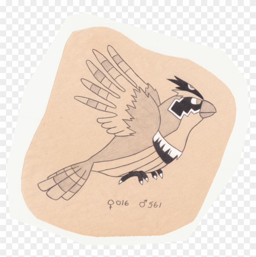 Tiny Bird Pokemon - Illustration Clipart