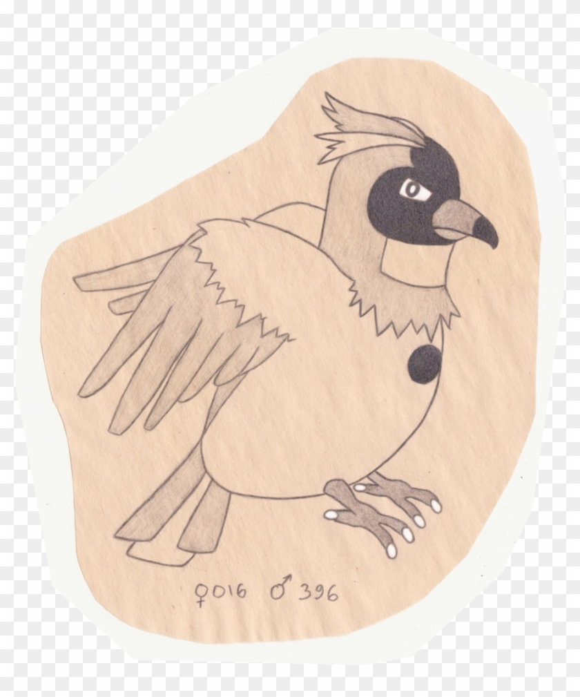 Tiny Bird Pokemon - Junco Clipart #748376