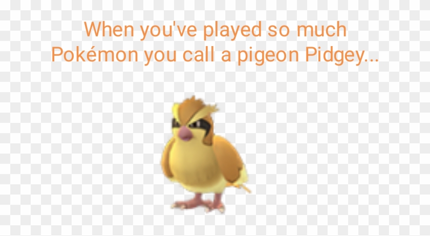 Look At Me Judgingly - Pidgey Pokemon Go Clipart