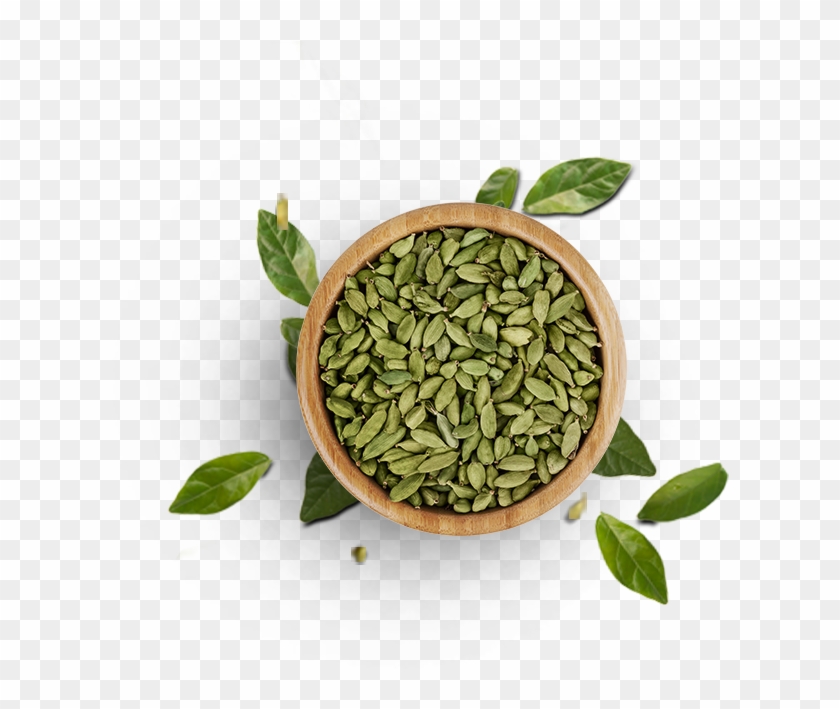 Cardamom - Pumpkin Seed Top View Png Clipart #749475