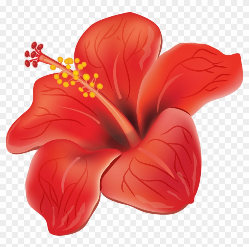 Flores Moana De Verdade Clipart