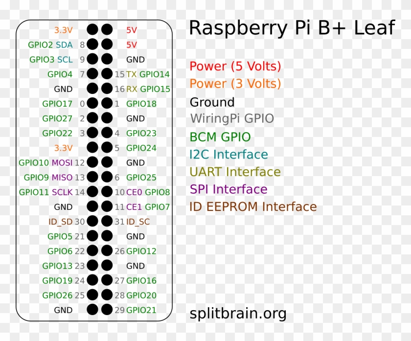 Raspberry Pi B Pinout Leaf - Raspberry Pi Clipart #750279