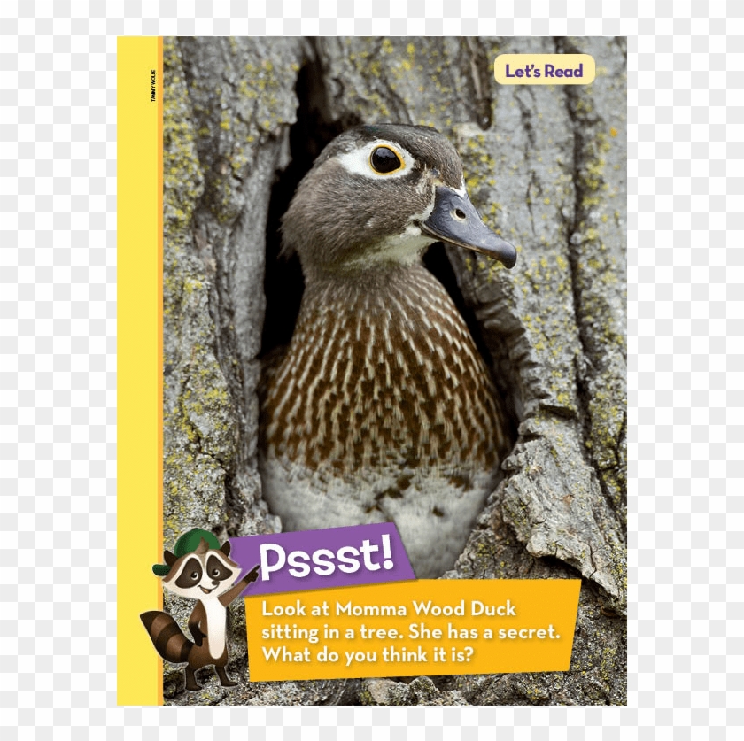 Treetop Duckies - Thrush Clipart
