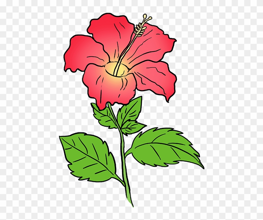 680 X 678 3 - Easy Hibiscus Flower Drawing Clipart