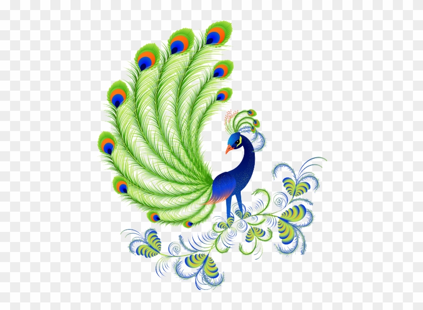 Peacock Picture In Cartoon Beautiful Clipart #750837
