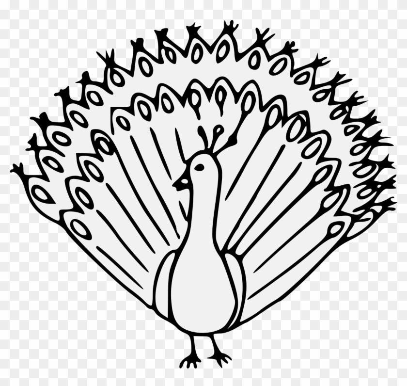 Details, Png - Duck Clipart