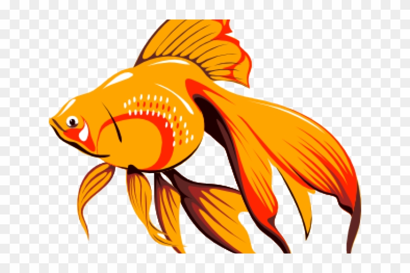 Fish Clipart Png Gif Transparent Png #752992