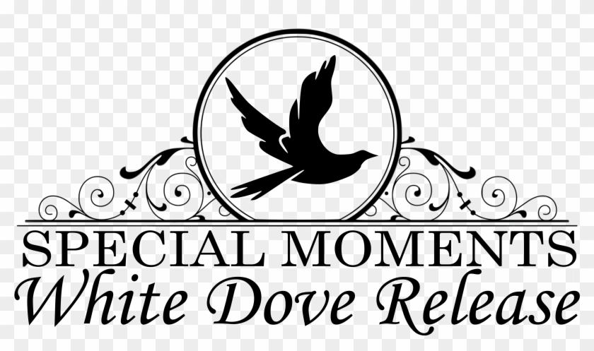 Clip Art - Png Download #753436