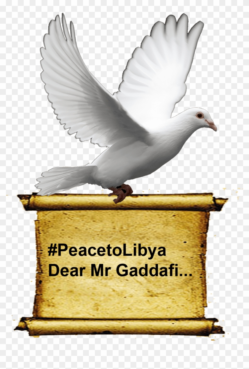 Dove Carrying Scroll - Dove Of Peace Clipart