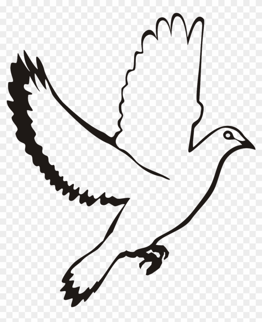 White Flying Dove Clipart - Dove Images Black And White Png Transparent Png #753537