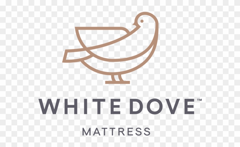 Heaven-sent Since - Calligraphy Clipart