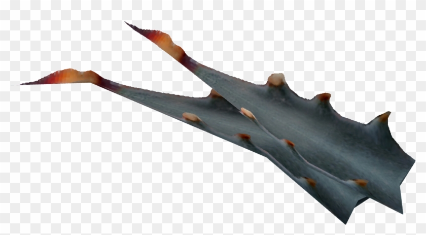 Nevada Agave Fruit - Nevada Fruit Clipart