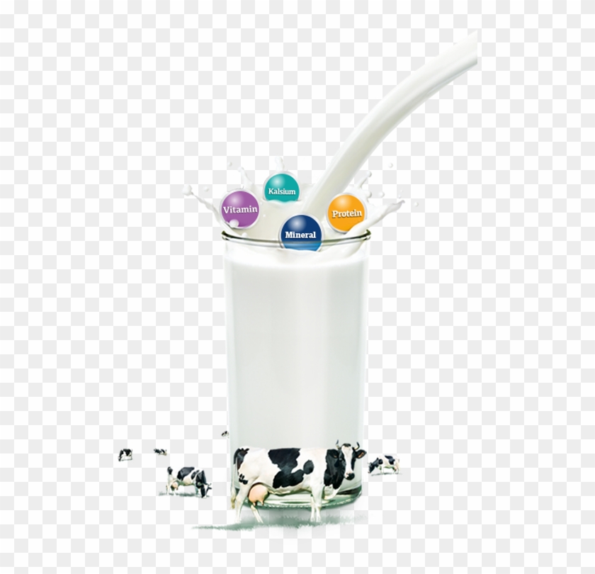 100% Milk From - Raw Milk Clipart #754488