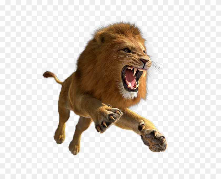 African Lion Png Image - Transparent Lion Png Hd Clipart #754531