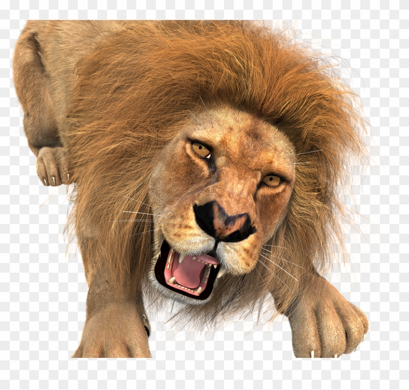 Animal, Lion, Male, King Of The Beasts, Big Cat, Wild - Transparent Background Lion Roaring Clipart