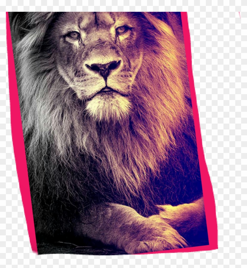 Lion Roar Hearmeroar Clipart #755106