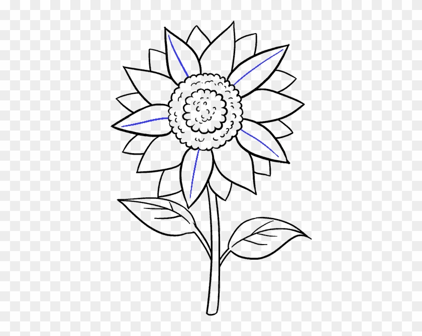Vector Freeuse How To Draw A Sunflower Easy Step Sunflower Drawing Black And White Easy Clipart 755305 Pikpng