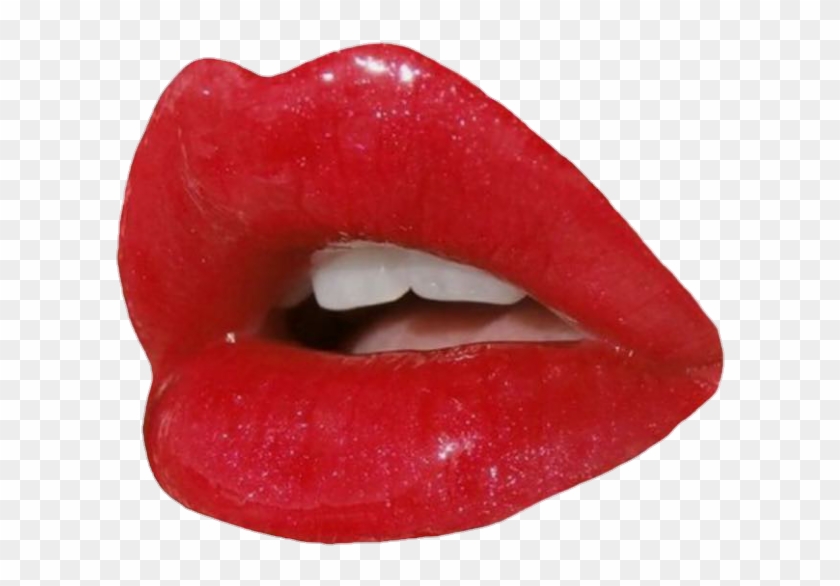 Png Transparent Lip Transparent Lip Png Lips - Lips Png Clipart #755307