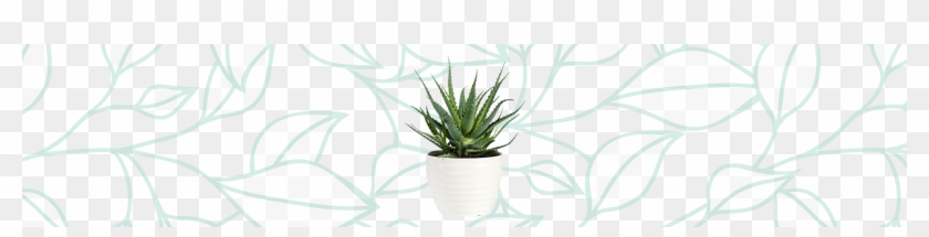 Organically Improve Your Air Quality With These - Flowerpot Clipart #755343