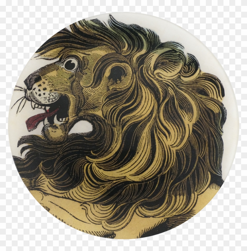 Masai Lion Clipart #755474