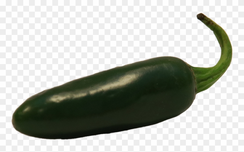Jalapeño, Jalapeno, Sharp, Food, Chilli, Paprika, Chili - Imagen De Un Chile Jalapeño Clipart
