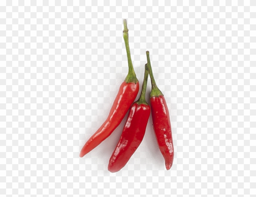 Buy Now - Transparent Bird Eye Chillies Clipart #755692