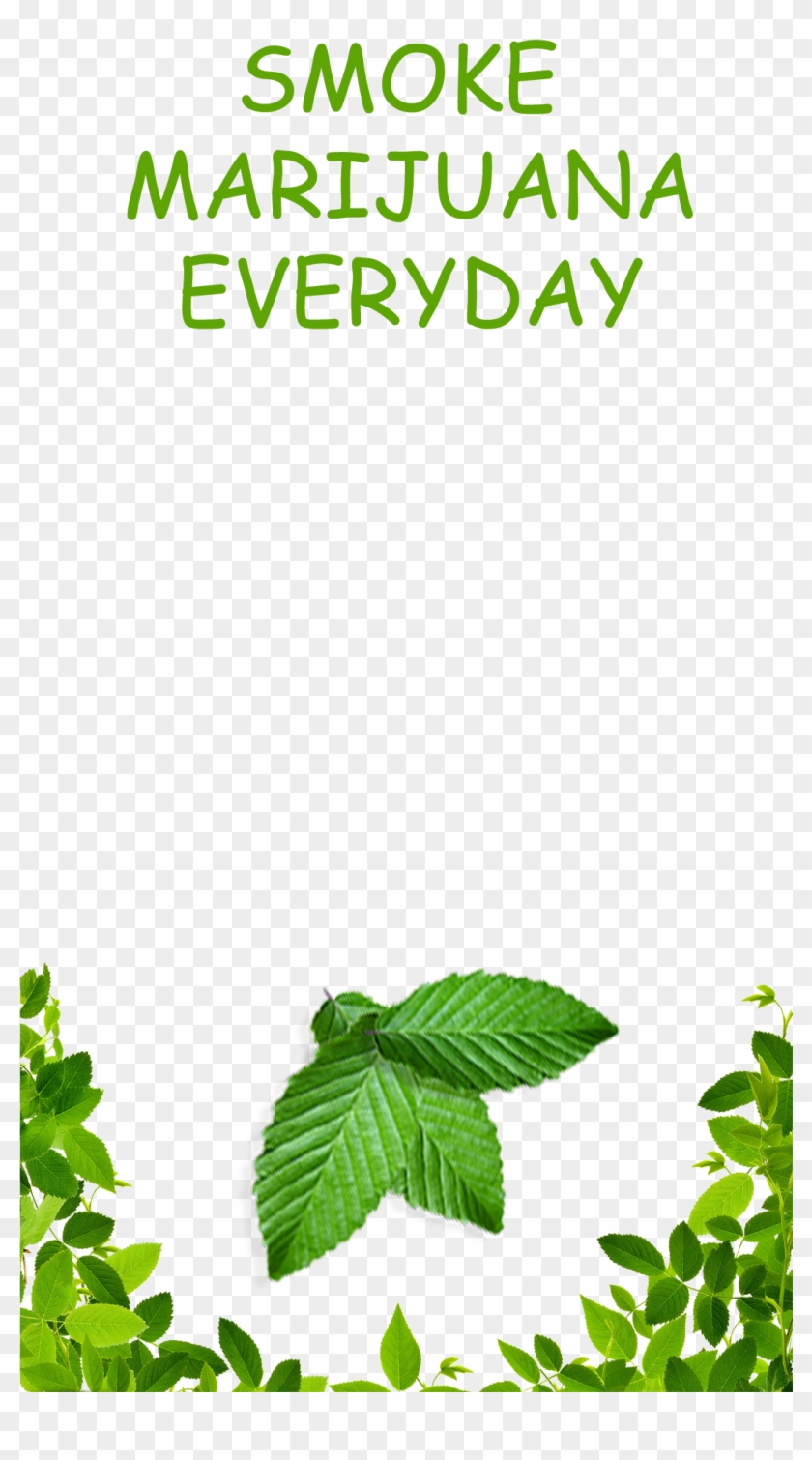 Bonus - Weed Custom Snapchat Filter Clipart