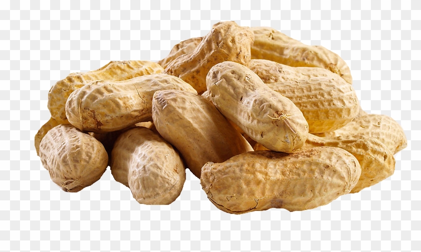 Peanut Png Hd - Peanut Png Clipart #756015