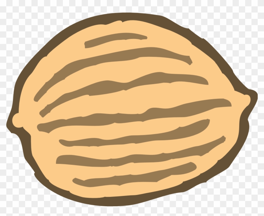 Peanut Clipart Thing - Pili Nut Clip Art - Png Download #756603
