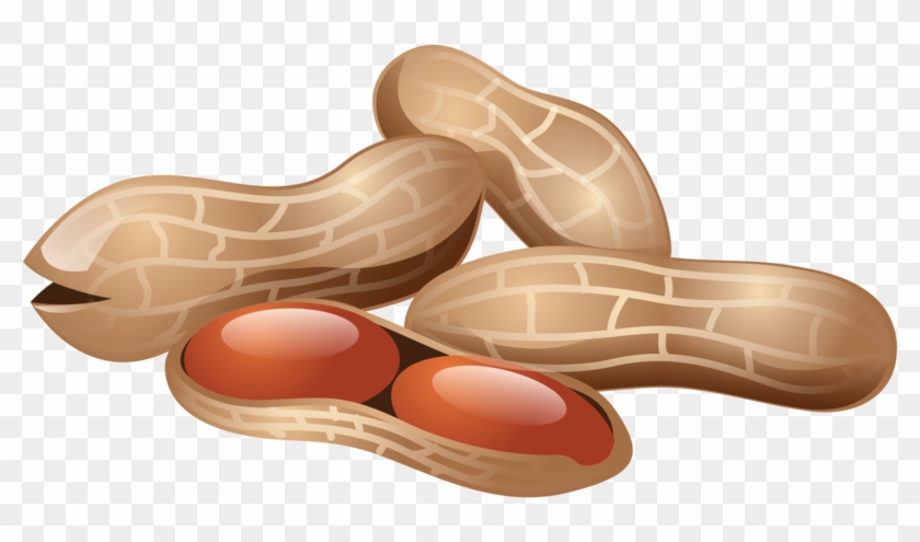 Peanut Png, Download Png Image With Transparent Background, - Арахис Рисунок Clipart #756869