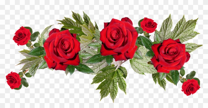 Red Flowers Png Image With Transparent Background - Transparent Red Flowers Png Clipart