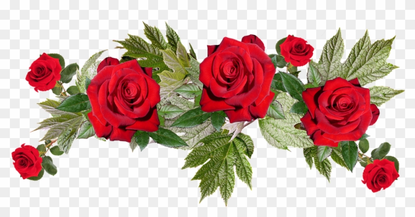 Red Flowers Png Image With Transparent Background Transparent