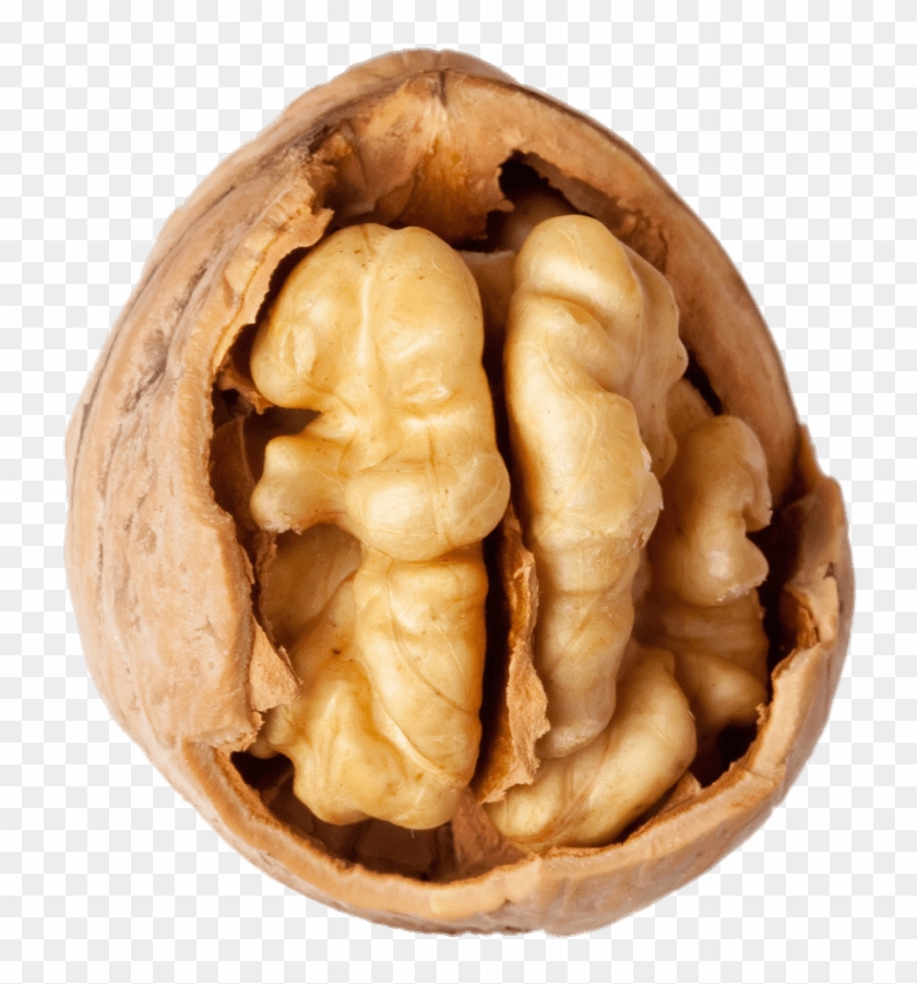 Walnut Png Clipart #757083