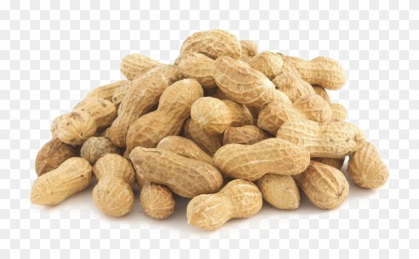 Peanut In Shell Clipart