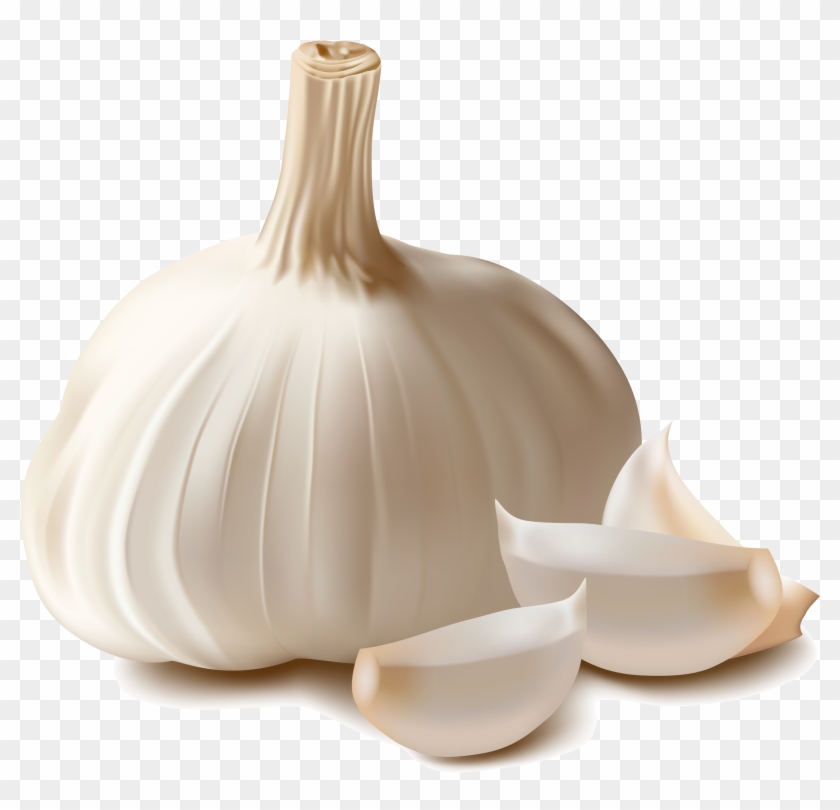 Garlic Png Clipart #758029