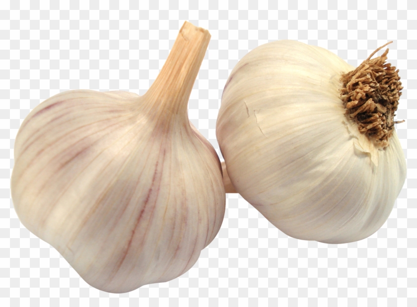 Garlic - Garlic Png Clipart