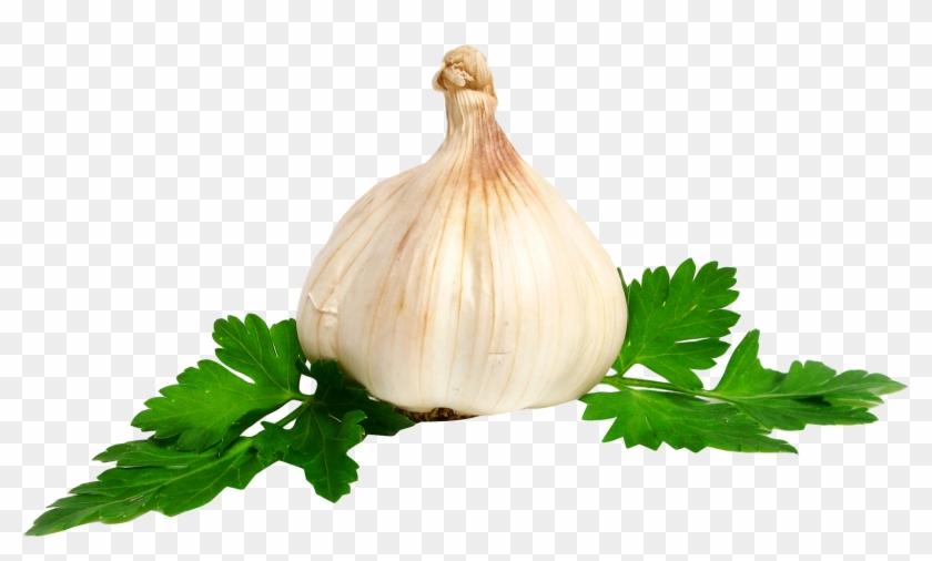 Garlic - Garlic .png Clipart #758254