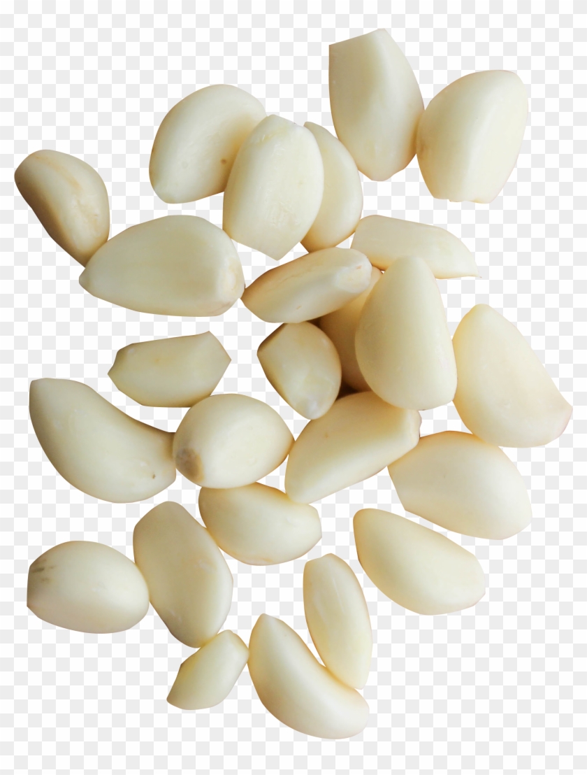 Garlic Png Clipart