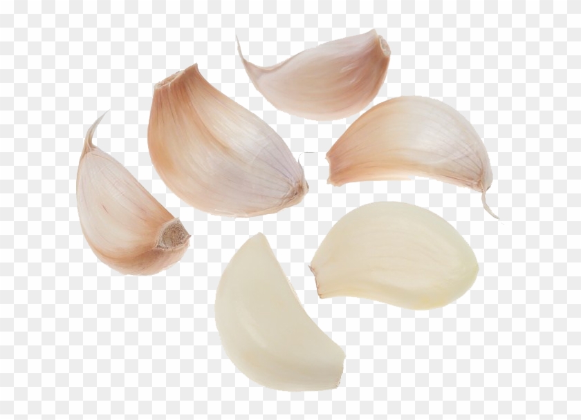 Garlic Minced Png Clipart #758334