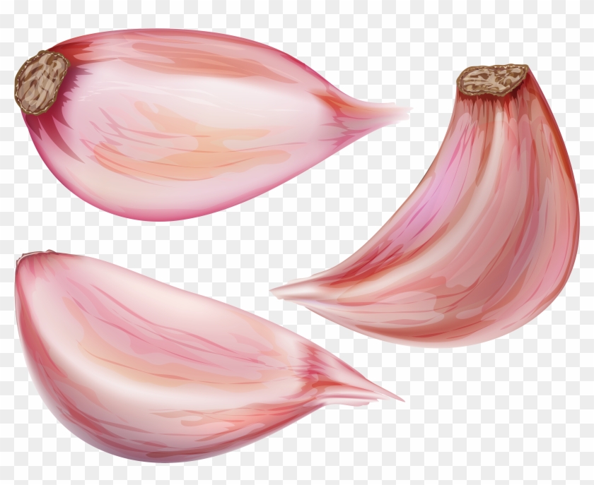 Cloves Png Clipart