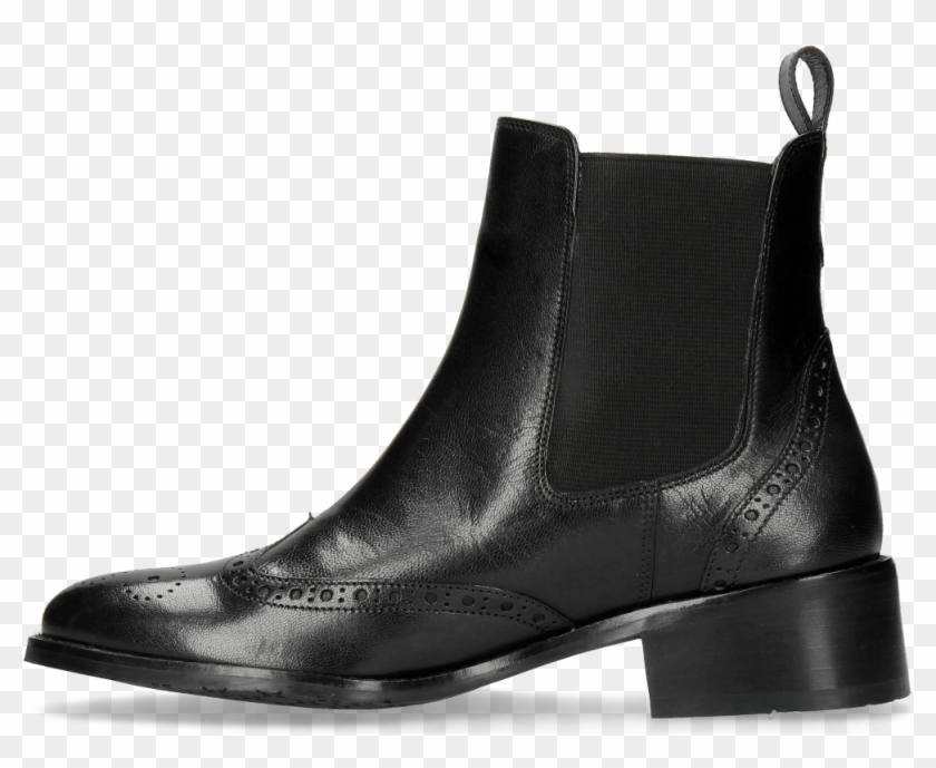 Ankle Boots Xandra 1 Venice Black - Motorcycle Boot Clipart #758526