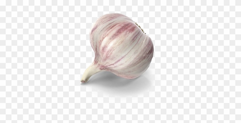 Garlic Png Free Download - Garlic Clipart #758579