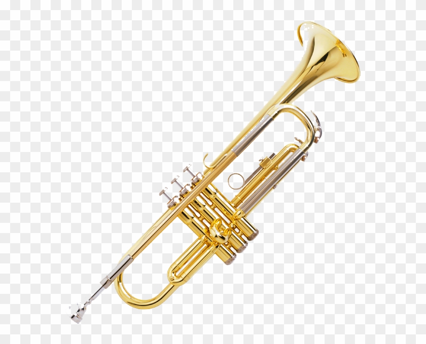 Trumpet Trumpet-copy - Nadir Ali & Co Meerut Trumpet Price Clipart #758752
