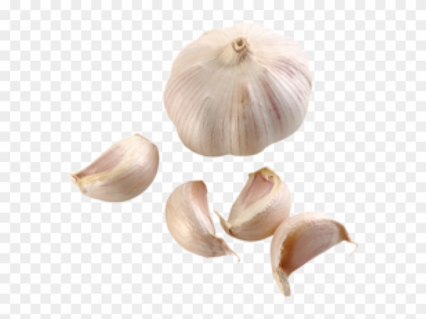 Garlic Free Png Image Download - Garlic Clipart